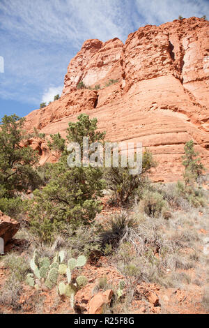 Blick auf rote Felsformationen entlang kleine Pferd Trail im Sedona Arizona Stockfoto