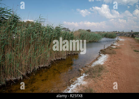 Witbank, Südafrika: Witbank Township von Acid Mine Drainage, Wasserverschmutzung durch den Bergbau betroffen. Dieses Bild ist Teil einer größeren Körper der Arbeit zum historischen Bergbau Umwelt, Wasserressourcen und Gemeinschaften in Südafrika beeinflusst haben. Der Fotograf produzierte auch eine groß angelegte Ausstellung und Buch mit dem Titel "Eine Säure Fluß läuft durch ihn "von wählt dieses Materials. Foto: Eva-Lotta Jansson Stockfoto