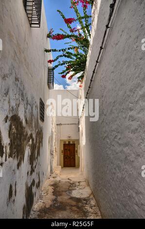 Der engen Gassen der alten Medina von Hammamet, Tunesien, Mittelmeer, Afrika, HDR Stockfoto