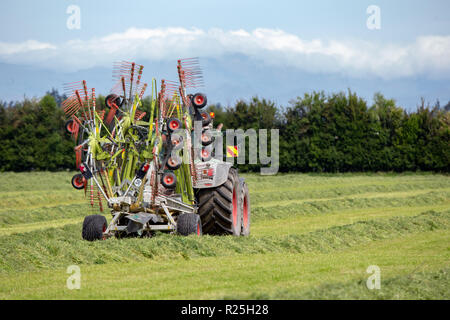 Einen Fendt Traktor und heuwender Arbeiten in einem Bauernhof Feld harken Schnittgras in Zeilen, die für das Heu pressen Stockfoto