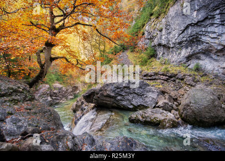 Herbst in Añisclo Canyon, Huesca, Pyrenäen, Spanien Stockfoto