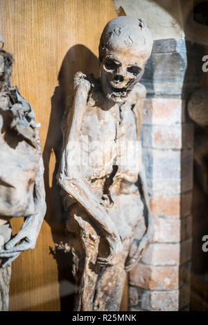 Mama in die Kirche, Urbania, Italien, Europa. Stockfoto