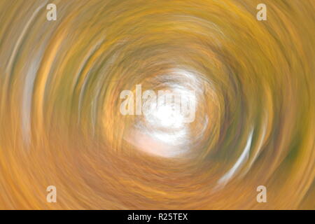 Eine Zusammenfassung von einem Waldgebiet mit absichtlichen Bewegung der Kamera Stockfoto