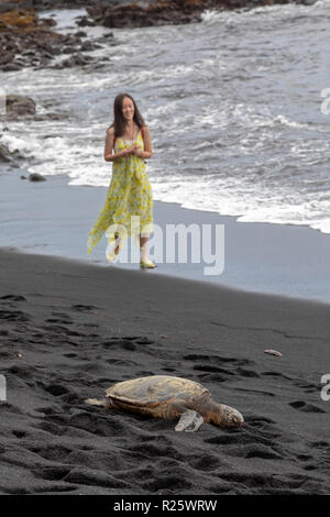 Punaluu, Hawaii - ein Besucher Uhren einem hawaiischen Grünen Meeresschildkröte Sonnenbaden auf der Sand in Punaluu schwarzen Sandstrand entfernt. Stockfoto