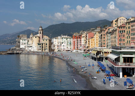 Strand mit Kirche Santa Maria Assunta, Camogli, Provinz Genua, Golfo Paradiso, Riviera di Levante, Ligurien, Italien Stockfoto