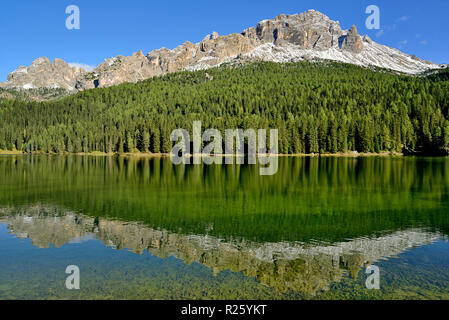 Mountain Range Cadini di Misurina und dichten Bergwald in Misurina See, Provinz Belluno, Italien wider Stockfoto