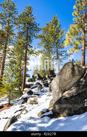 Wanderweg in Van Sickle Bi-State Park; South Lake Tahoe, Kalifornien Stockfoto