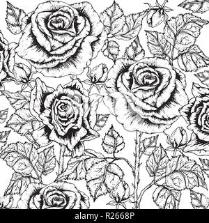 Doodle floral background in Vektor mit doodles schwarze und weiße Färbung Seite Stock Vektor