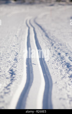 Blick auf die Skipisten von Sotkamo, Finnland Stockfoto