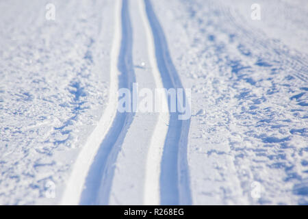 Blick auf die Skipisten von Sotkamo, Finnland Stockfoto