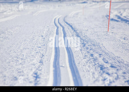Blick auf die Skipisten von Sotkamo, Finnland Stockfoto