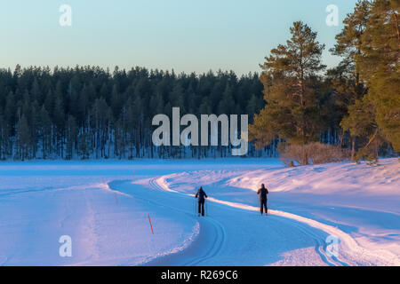 Blick auf die Skipisten von Sotkamo, Finnland Stockfoto