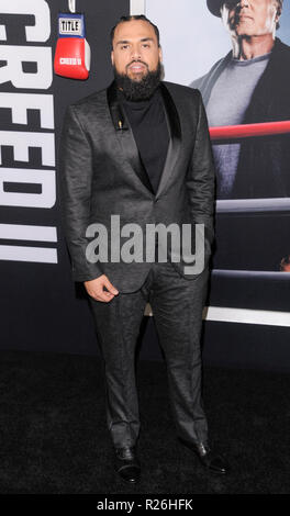 Steven Caple Director Steven Caple Jr. attends the premiere of