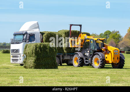 Geraldine, Canterbury, Neuseeland - 21. Oktober 2018: ein Lkw ist mit frischen Heuballen auf einem Bauernhof im Frühling geladen Stockfoto