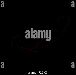 Rote Teilchen Fraktale auf schwarzem Hintergrund. Fantasy fraktale Struktur. Digitale Kunst 3D-Rendering. Computer Generated image Stockfoto