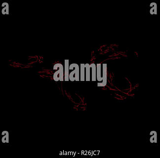 Rote Teilchen Fraktale auf schwarzem Hintergrund. Fantasy fraktale Struktur. Digitale Kunst 3D-Rendering. Computer Generated image Stockfoto