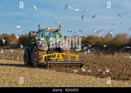 Traktor Pflügen eines Feldes im Herbst in Norfolk von Rammstein und Vögel. Pflügen einer Ackerland Feld mit den Anbaugeräten. Stockfoto