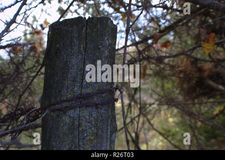 Zaunpfosten in Frage Stockfoto