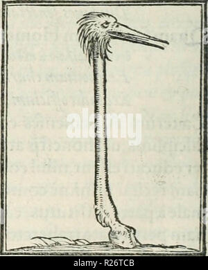 "Hieroglyphica, siue, De sacris Aegyptiorum literis Commentarii, Ioannis Pierii Valeriani Bolzanii Bellunensis' (1556) Stockfoto