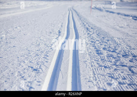 Blick auf die Skipisten von Sotkamo, Finnland Stockfoto