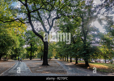 Park mit Pfaden entlang der Oder in Wroclaw, Polen Stockfoto