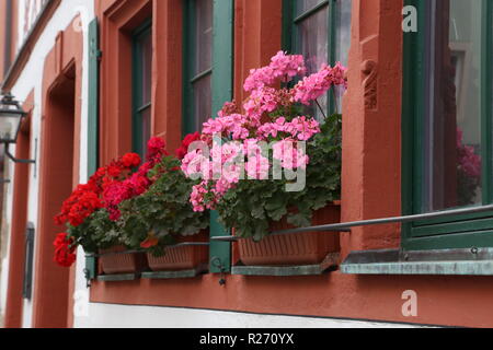Schöner Balkon Blumen. Schöner Balkon Blumen auf Windows Home Stockfoto