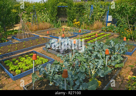 Gut ANGELEGTEN GEMÜSEGARTEN IN EINEM PRIVATEN GARTEN. AUGUST 2018. OAKHAM, Rutland, England. Kleine geschlossene Gemüsegärten mit erhöhten Betten eingepflanzt Stockfoto