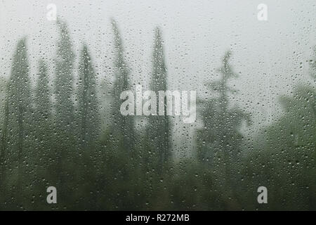 Regentropfen auf dem Fenster Glas und fernen Wald Bäume. Regentag abstrakt. Stockfoto