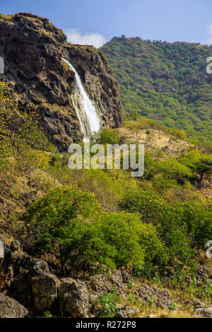 Grüne Wadi Darbat verwöhnt Sie und Wasserfall, Dhofar region, Oman. Stockfoto