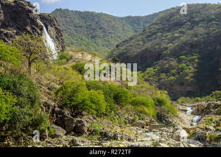 Grüne Wadi Darbat verwöhnt Sie und Wasserfall, Dhofar region, Oman. Stockfoto