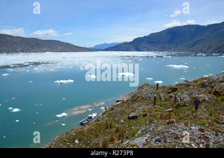 Boot in Eis Felder in der Nähe von Tortel, Aysen, Chile Stockfoto