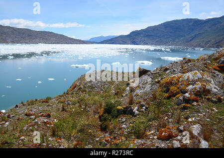 Eisfelder in der Nähe von Tortel, Aysen, Chile Stockfoto