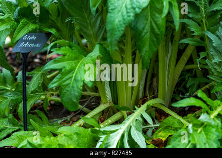 Herbst an der Rokokogarten, Gloucestershire, UK. In den Cotswolds dieser Garten ist als Veranstaltungsort für Hochzeiten genutzt und ist berühmt für seine Schneeglöckchen Stockfoto