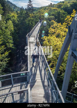 "Baumwipfelpfad", Treetop Gehweg durch einen Wald im Herbst, Bad Harzburg, Harz, Niedersachsen, Deutschland Stockfoto