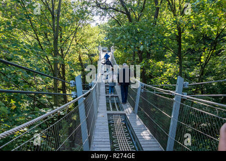 "Baumwipfelpfad", Treetop Gehweg durch einen Wald im Herbst, Bad Harzburg, Harz, Niedersachsen, Deutschland Stockfoto