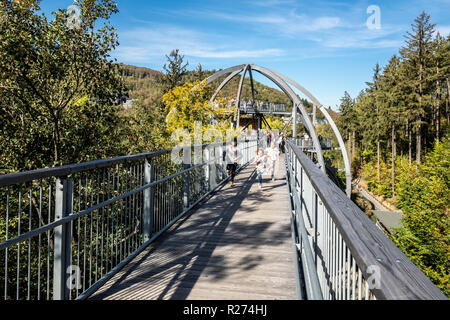 "Baumwipfelpfad", Treetop Gehweg durch einen Wald im Herbst, Bad Harzburg, Harz, Niedersachsen, Deutschland Stockfoto