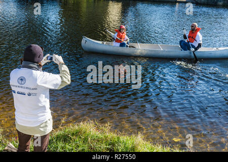 Miami Florida, Oakland Grove, jährlicher Little River Day Clean up, Trash, Pick up, Picking, Müll, Clean, Verschmutzung, Freiwillige Freiwillige arbeiten ehrenamtlich Stockfoto