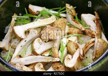 Matsutake Gohan, Reis gekocht mit Matsutake Pilze, japanische Küche Stockfoto