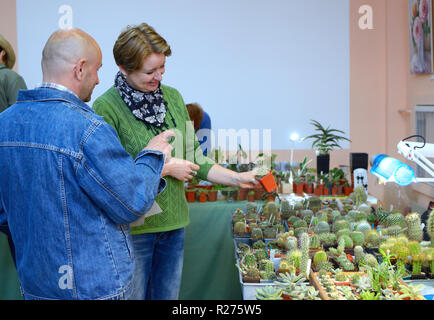 Im Blumenladen. Verkäufer halten ein Topf mit Kakteen und ein Gespräch mit einem Kunden. Kiew, Ukraine. Oktober 12, 2018 Stockfoto