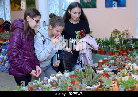 Im Blumenladen. Verkäufer halten ein Topf mit Kakteen und ein Gespräch mit einem Kunden. Kiew, Ukraine. Oktober 12, 2018 Stockfoto