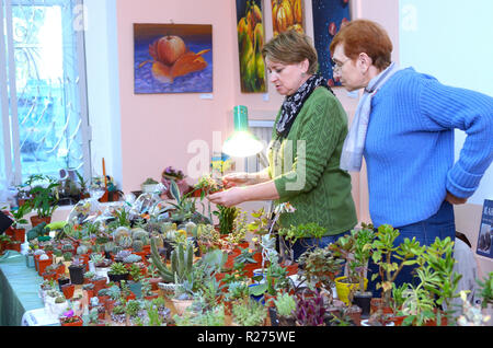 Im Blumenladen. Verkäufer halten ein Topf mit Kakteen und ein Gespräch mit einem Kunden. Kiew, Ukraine. Oktober 12, 2018 Stockfoto