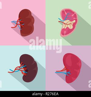 Milz milt Anatomie Symbole gesetzt. Flache Darstellung von 4 Milz milt Anatomie Vector Icons für Web Stock Vektor