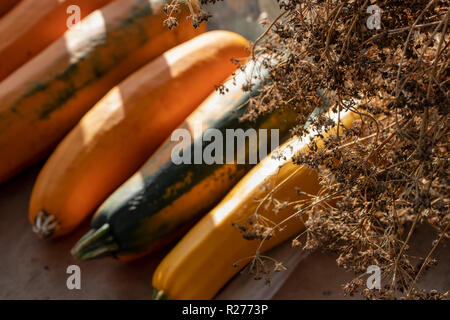 Herbst Ernte. Litauische Landwirtschaft - herbstliche Kürbisse, Zucchini, Mais, Beeren, Bohnen, Knoblauch, Dill. Stockfoto