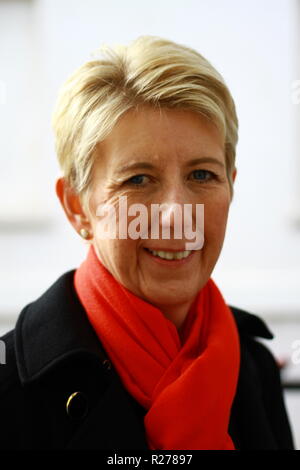 Angela Smith Labour-Abgeordnete in Westminster am 15th. November 2018. Britische Politik. Britische Politiker. Britische Politik. Die unabhängige Gruppe. ÄNDERN SIE GROSSBRITANNIEN. Russell Moore Portfolio-Seite. Stockfoto