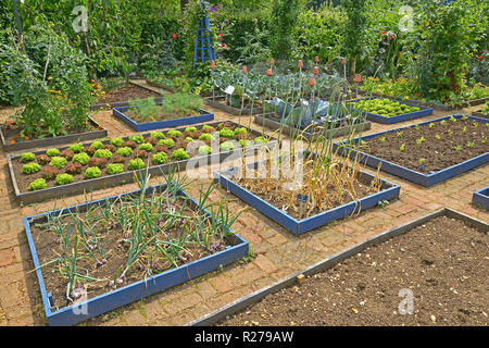 Gut ANGELEGTEN GEMÜSEGARTEN IN EINEM PRIVATEN GARTEN. AUGUST 2018. OAKHAM, Rutland, England. Kleine geschlossene Gemüsegärten mit erhöhten Betten eingepflanzt Stockfoto
