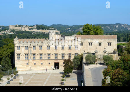 Musée du Petit Palais Museum und Stadtplatz oder die Plaza vor dem Palais du Papes Avignon Provence Frankreich Stockfoto