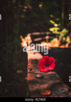 Eine Erinnerung Mohn sitzt auf der Seite von einem rostigen alten Mine Karre in Hellfire Pass in der Nähe von die Brücke am River Kwai, Kanchanaburi, Thailand. Stockfoto