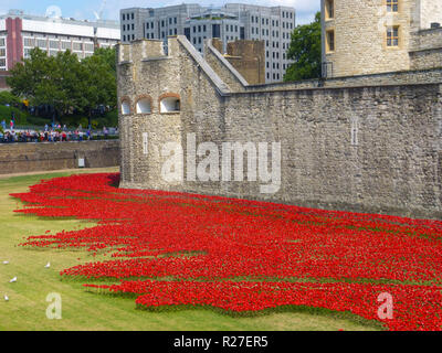 Tower von London im August 2014, wie sie begannen, die Mohnblumen im Gedenken an den Ersten Weltkrieg zu installieren. Stockfoto