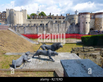 Tower von London im August 2014, wie sie begannen, die Mohnblumen im Gedenken an den Ersten Weltkrieg zu installieren. Stockfoto