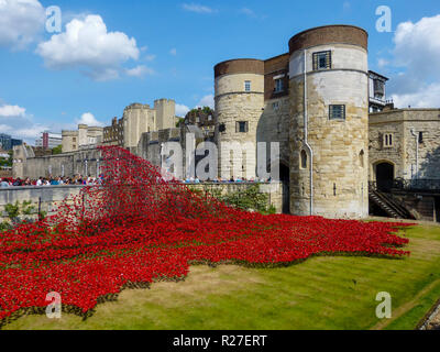 Tower von London im August 2014, wie sie begannen, die Mohnblumen im Gedenken an den Ersten Weltkrieg zu installieren. Stockfoto